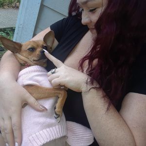 Meet your Posher, Alexis